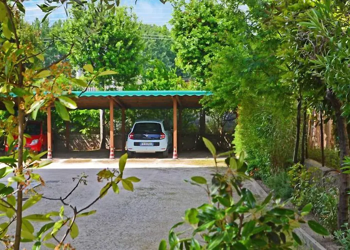 Ivana Hotel Bellaria-Igea Marina